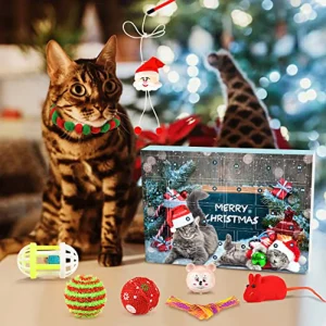 Purrmas Advent Calendar